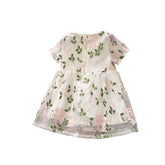 Rochita eleganta Pinky, voal brodat, multicolor